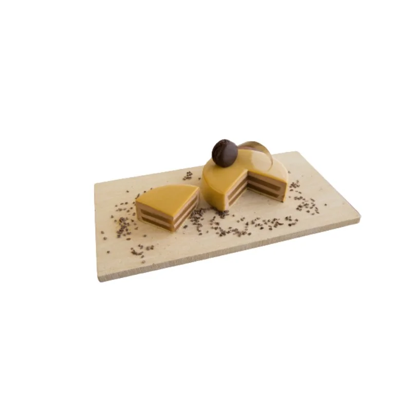 SILMAE Professional Entremet Insert Silicone Pastry Mold - Ø 124 mm x 15 mm – 172 ml - 12 cavity