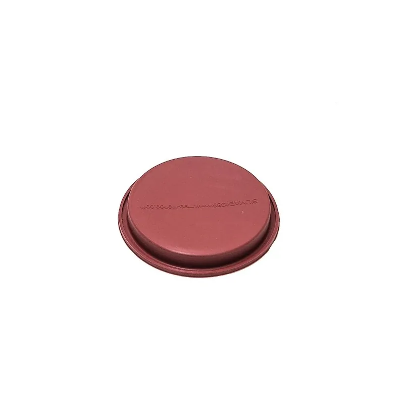 SILMAE Professional Sponge Cake Silicone Pastry Mold - Ø 130 mm x 18 mm – 239 ml - 1 cavity - Mae