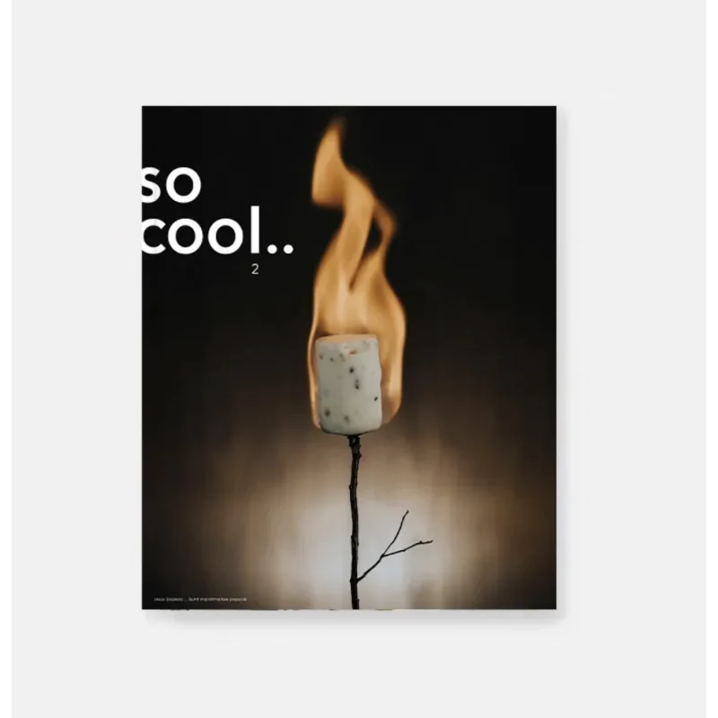 So Cool Magazine 2, The Magazine of Signature Ice Cream by Grupo Vilbo