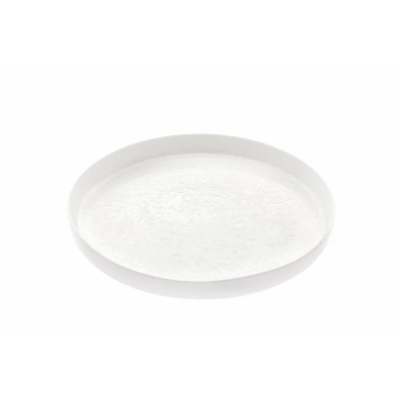 Handcrafted Fine Porcelain Bowl Gourmet Low 21 cm - Height 3 cm - Set of 6