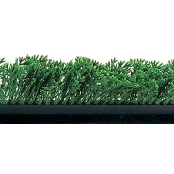 FISCHER Green Cypress Divider Black Base 5.5 x 75 cm