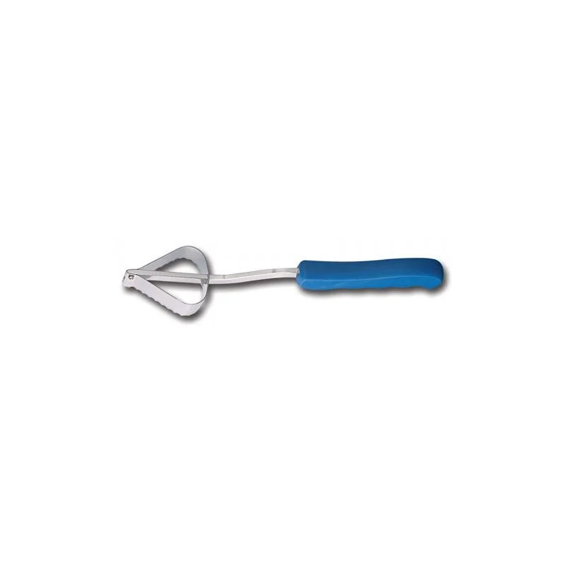 FISCHER Fish Scaler Blue Plastic Handle