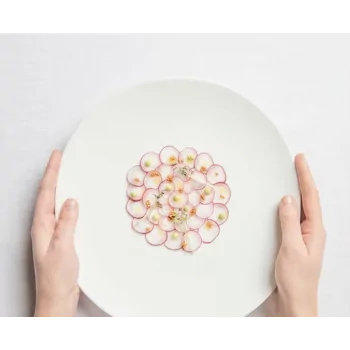 Shell Curved Dinner Plate - Matte - 27.5 x 28.5 x 2.5 cm - Set of 4