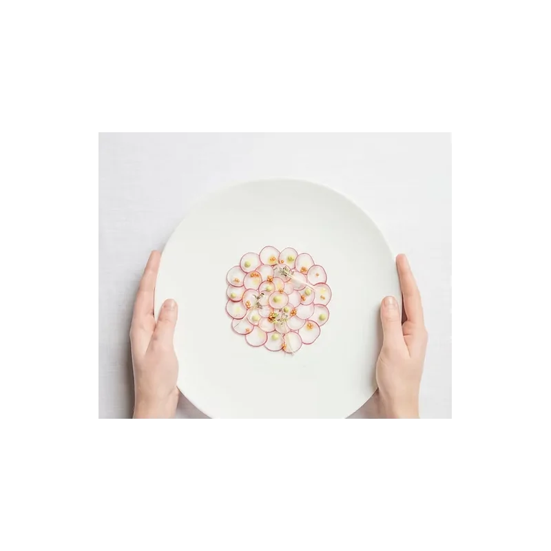 Shell Curved Dinner Plate - Matte - 27.5 x 28.5 x 2.5 cm - Set of 4 Shell Curved Dinner Plate - Matte - 27.5 x 28.5 x 2.5 cm - Set of 4