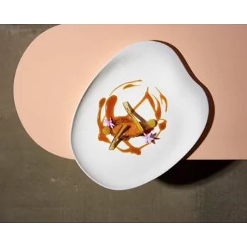 Jelly Organic Dinner Plate - Matte - 29 x 23 x 2 cm - Set of 4