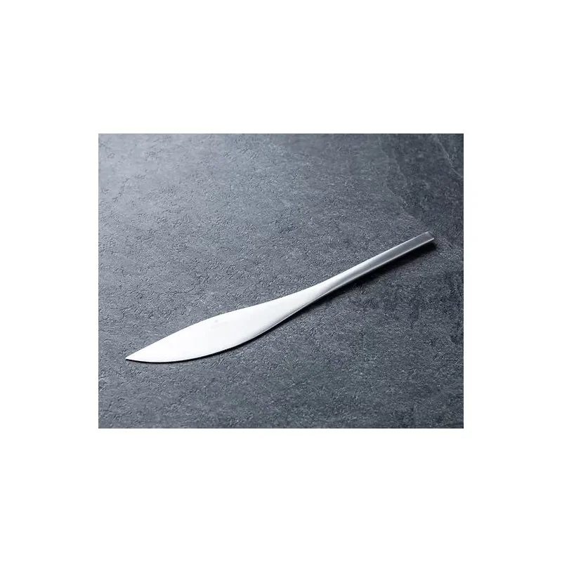 Rama Premium Stainless Table Knife - 23.5 x 2.5 x 0.7 cm - Set of 12