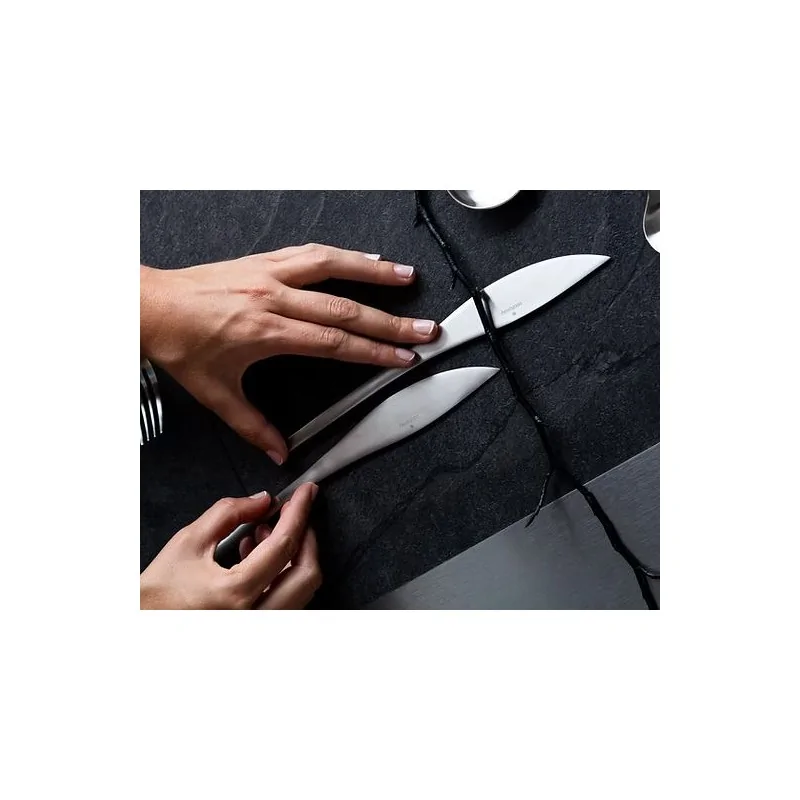 Rama Premium Stainless Table Knife - 23.5 x 2.5 x 0.7 cm - Set of 12