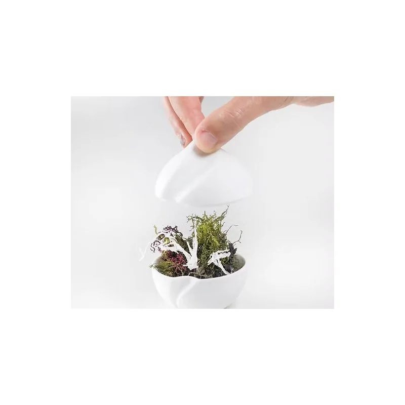 The Tablet Modern Porcelain Spherical Bowl - 7 x 7 x 7.7 cm - Set of 6 The Tablet Modern Porcelain Spherical Bowl - 7 x 7 x 7.7 cm - Set of 6