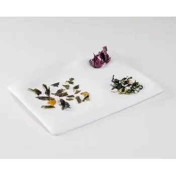 The Tablet Rectangular Modern Porcelain Dining Plate - 25 x 20.5 x 1.5 cm - Set of 6