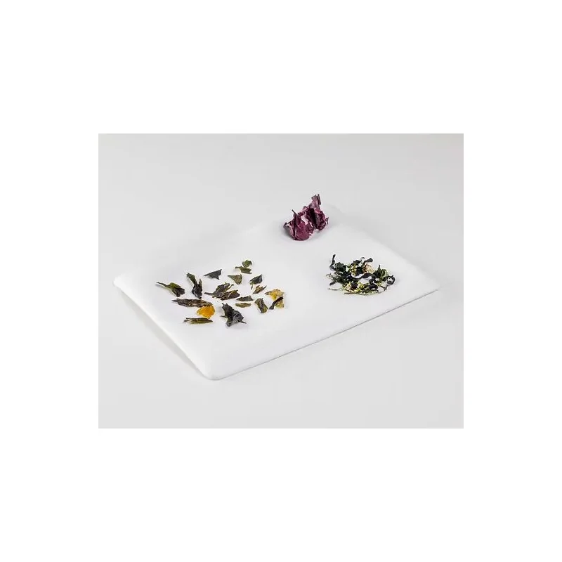 The Tablet Rectangular Modern Porcelain Dining Plate - 25 x 20.5 x 1.5 cm - Set of 6