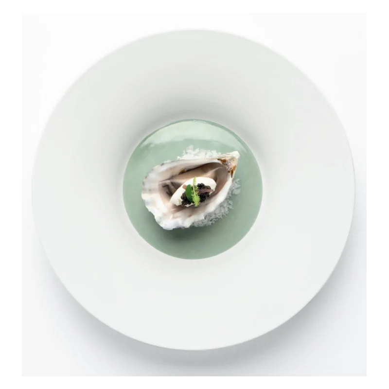Handcrafted Fine Porcelain Gourmet Bowl Seafoam 28 cm - Height 4.5 cm - Set of 4