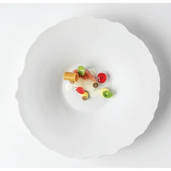 Handcrafted Fine Porcelain Gourmet Bowl 28 cm - Height 4.5 cm - Set of 4
