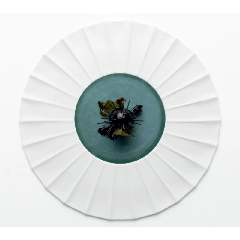 Handcrafted Fine Porcelain Flat Plate With Internal Ray 30 cm - Int. 12.5 cm - Set of 4