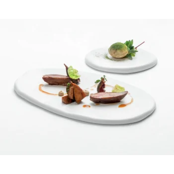 Handcrafted Fine Porcelain Gourmet Stone 17 x 13 cm - Set of 8