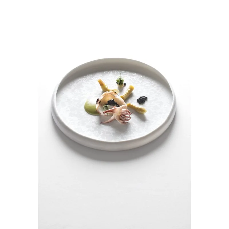 Handcrafted Fine Porcelain Gourmet Low Bowl With Internal Rim 25 cm - Height 1.7 cm - Set of 6