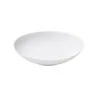 Degrenne 207136 Degrenne Boreal Oval Shallow Bowl. Coupe 23.5 x 20 ...