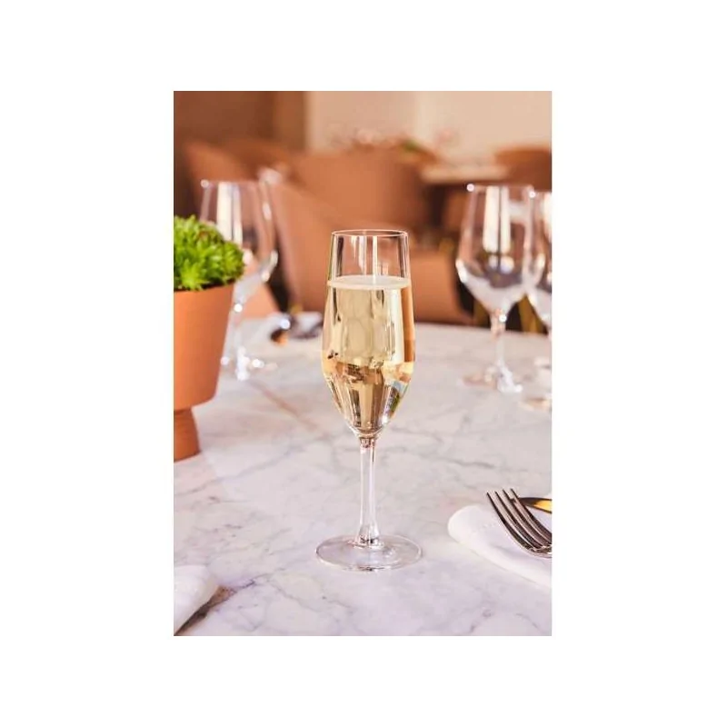 Chef & Sommelier Evidence Flute 5.5 Oz - Set of 24 Chef & Sommelier Evidence Flute 5.5 Oz - Set of 24