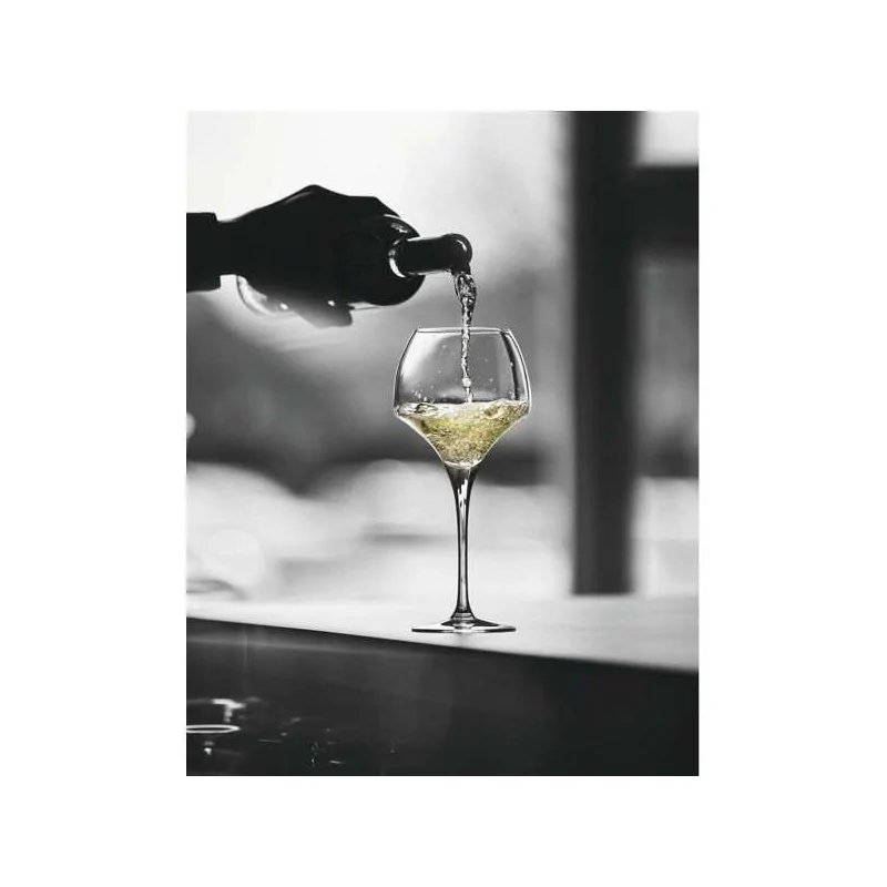 Chef & Sommelier Open Up Wine Glass 18.5 Oz - Set of 24