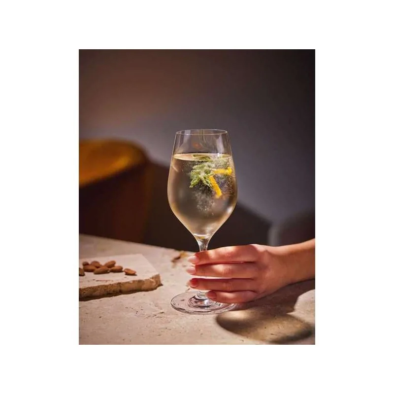 Chef & Sommelier Evidence Universal Glass 15.5 Oz - Set of 24