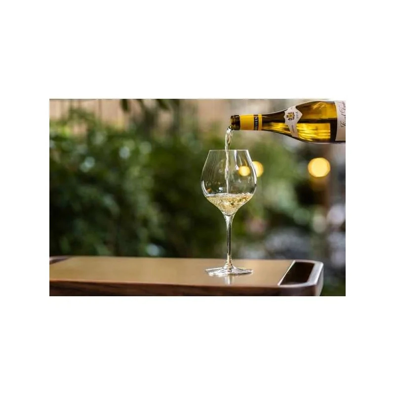 Chef & Sommelier Villeneuve, By Chef Daniel Boulud Burgundy 21.5 Oz - Set of 12