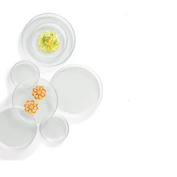 Elegant Structured Glass Coupe Plates - Set of Six (17 cm Diam.)