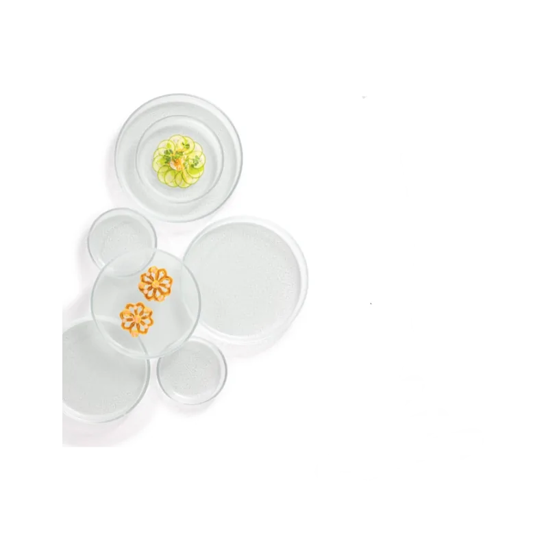 Elegant Structured Glass Coupe Plates - Set of Six (17 cm Diam.) Elegant Structured Glass Coupe Plates - Set of Six (17 cm Diam.)