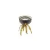 Elegant Bowl & Display - Anthracite 18/10 Stainless Steel with Brass Stand - Diam. 13 cm - Ht 17 cm