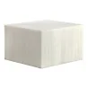 Elegant Resin Display Case - Classy Buffet Style - White Translucent - 38 x 38 x 24 cm