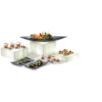 Elegant Resin Display Case - Classy Buffet Style - White Translucent - 38 x 38 x 16 cm