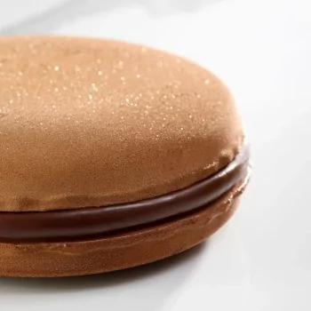 Pavoni Italia Professional Entremet Silicone Mold - Macaron Cake Kit - Ø mm x 185 mm × h 45 mm - 1000 ml