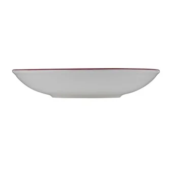 ID Fine Modest Maroon Deep Plate 9.86'' 39 oz - Set of 12 pcs