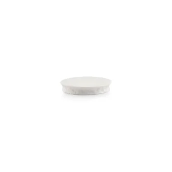 Lustre Platform Plate 4 Inch - Set of 24 pcs