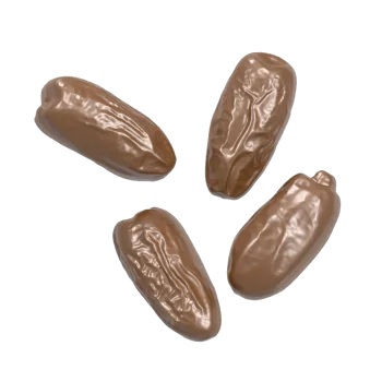 Thermopressed Polycarbonate Chocolate Mold - Dates - 8 cavity - 50 mm x 22 mm x h 26 mm - 10gr