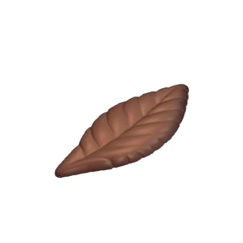 Polycarbonate Chocolate Leaf Mold - 60 mmx 31 mm x h 4 mm - 14 cavity - 5gr Polycarbonate Chocolate Leaf Mold - 60 mmx 31 mm x h 4 mm - 14 cavity - 5gr