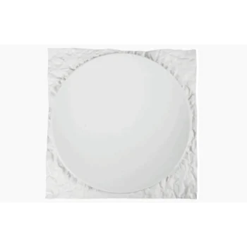 Fine White Porcelain Square Plate - Terra Collection - 10.25" - set of 4
