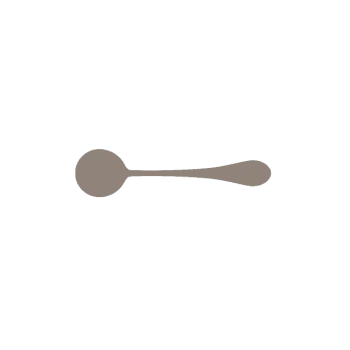 Santa Fe Collection Boullion Spoon - set of 12