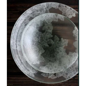 Frosted Glass 22.3cm Bowl - Dentelles D'Orties Collection - Set of 12