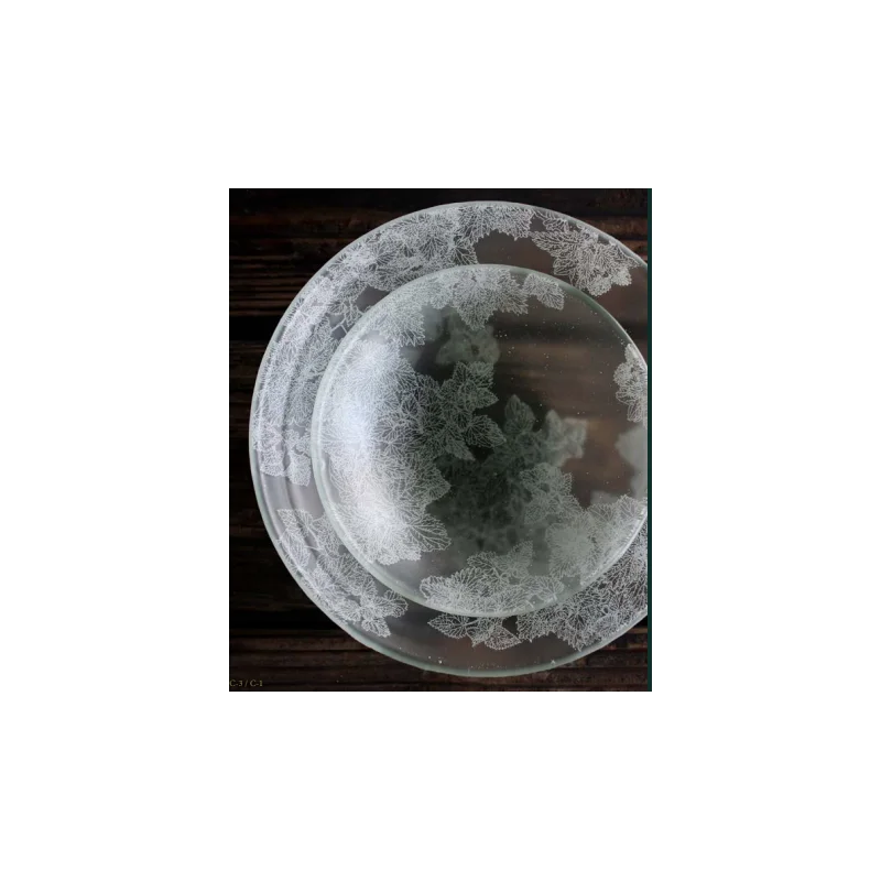 Frosted Glass 22.3cm Bowl - Dentelles D'Orties Collection - Set of 12