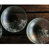 Frosted Glass 10.4cm Satellite Bowl - Gipsophile Collection - Set of 12