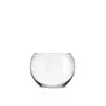 Onis Martini Chiller Bubble Bowl 3 Inch - 18.5oz- Set of 6 pcs
