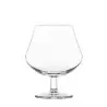 Onis Arome Spirits Glass 3.3 Inch - 8.5oz- Set of 6 pcs