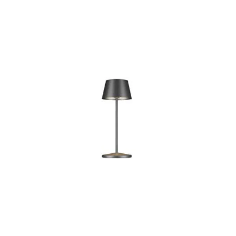 Seoul Collection Micro Metallic Rc Brushe Graphite Cordless Lamp - 3 in Dia x 7.8 in H - 2.3 watt