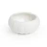 Orca Collection Dish Small - 3 in Dia x 1.7 in H