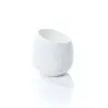 Nadja Collection Mini Coupe - 5.8 in L x 1.2 in W x 1.1 in - Set of 48