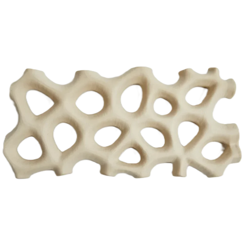 Hand Sculpted Stoneware Coral Platter in Unglazed White Finish - 20 x 9 x 2 cm - Case of 6