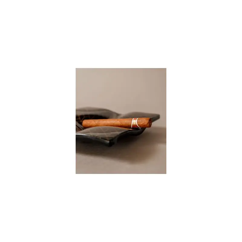 My Glass Studio Ashtray, Black - Set of 6 - 20.0 x 20.0 x 4 cm My Glass Studio Ashtray, Black - Set of 6 - 20.0 x 20.0 x 4 cm