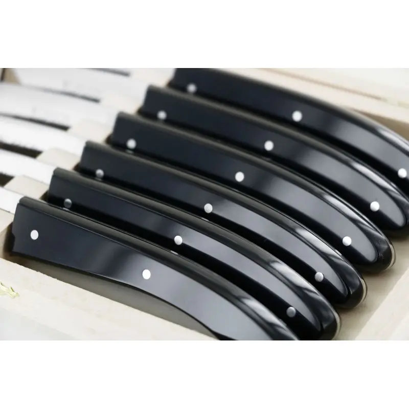 Andre Verdier Capucin 6 Pcs Knife - Plain Edge In Closed Box - Black Acrylic Handle Andre Verdier Capucin 6 Pcs Knife - Plain Edge In Closed Box - Black Acrylic Handle