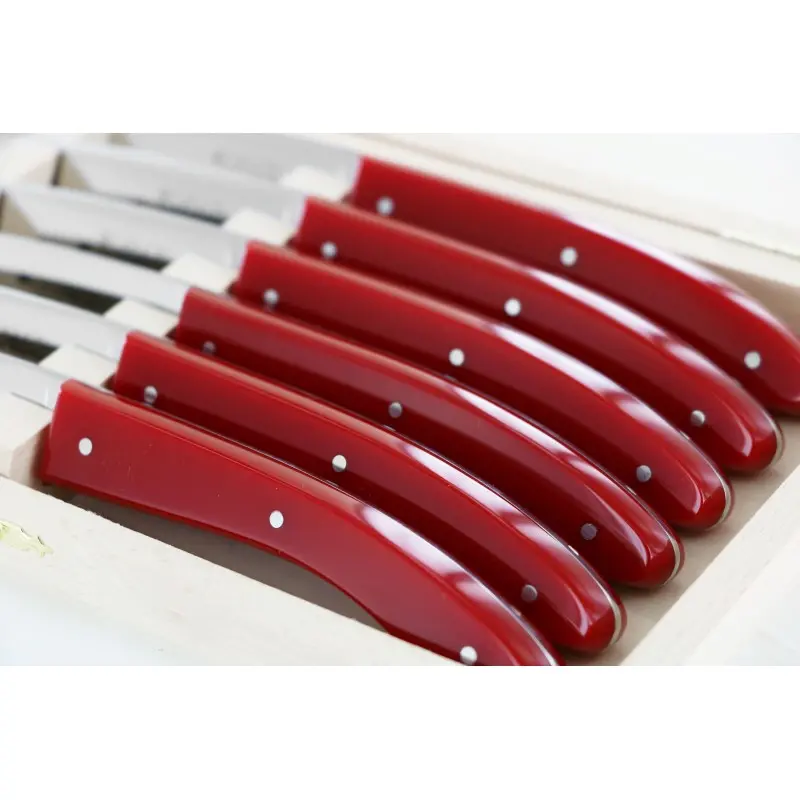 Andre Verdier Capucin 6 Pcs Knife - Plain Edge In Closed Box - Red Acrylic Handle Andre Verdier Capucin 6 Pcs Knife - Plain Edge In Closed Box - Red Acrylic Handle