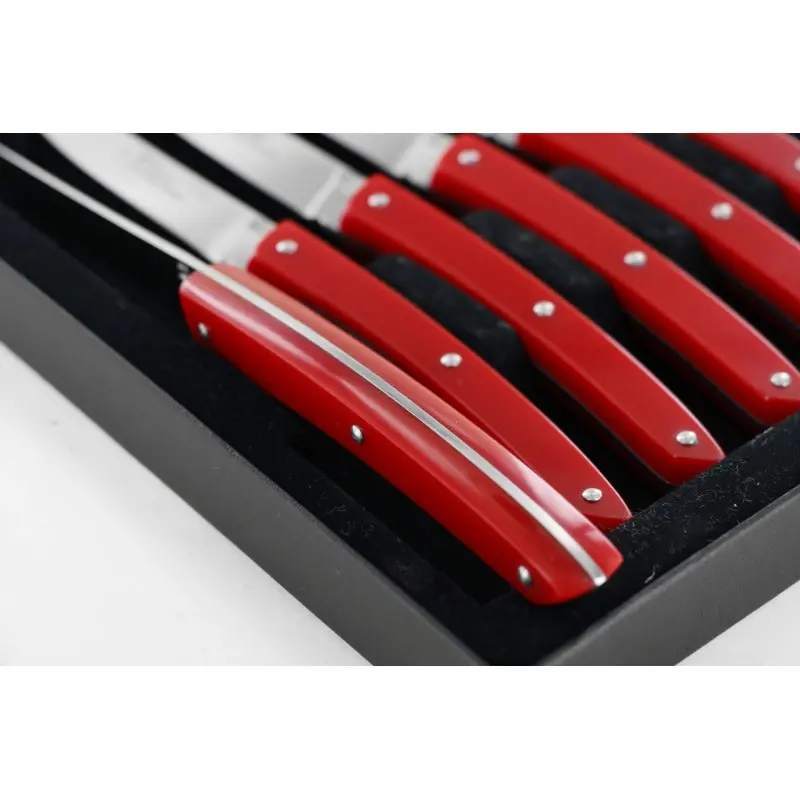 Andre Verdier Le Thiers Couleur 6Pc Knife In Black Box - Red Acrylic Handle