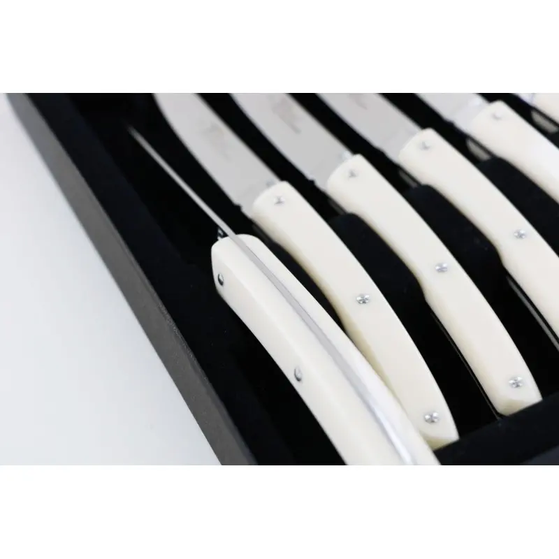 Andre Verdier Le Thiers Couleur 6Pc Knife - In Black Box - Off-White Acrylic Handle - Andre verdier